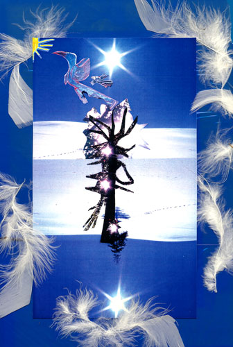 Boom van Harmen Daniel